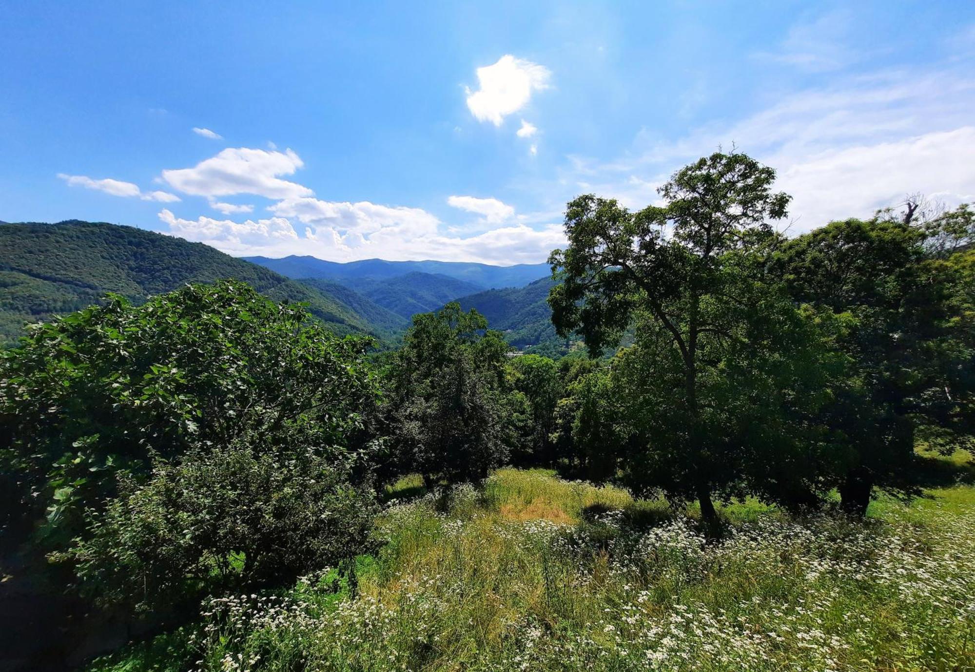 La Baita nel Bosco Brossasco Esterno foto